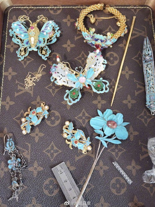 北京女子销售翠鸟制品与金银饰品被刑拘 非法交易濒危物种制品案引关注